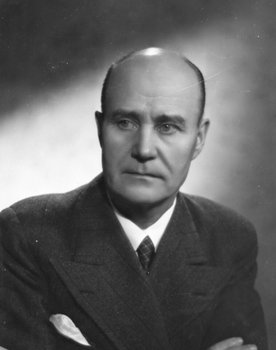 Wilho Ilmari