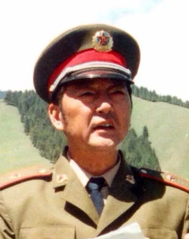 Wei Linyue