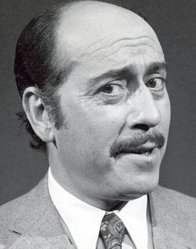 José Luis López Vázquez as Luis