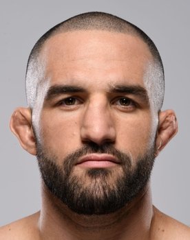 UFC 295: Prochazka vs. Pereira