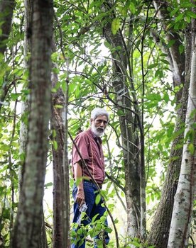 Luciano Braga as Brilhante