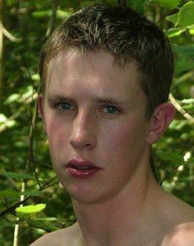 Harry Williams