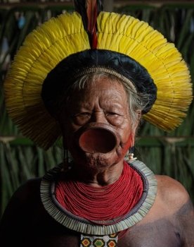 Raoni Metuktire as Self
