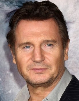 Liam Neeson Photo