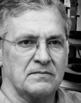 Stan Weinmüller as David Neville