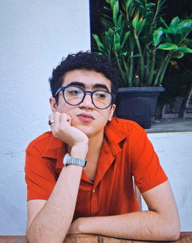 Liédson Lima as Jornalista