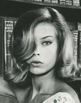 Heidi Balzer