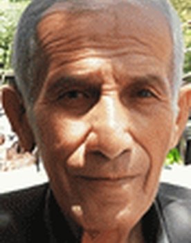 Reza Hajian as 