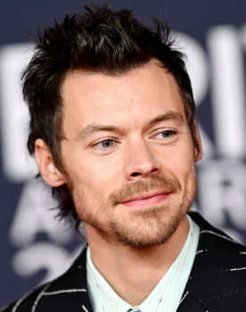 Harry Styles as Self