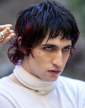 Porter Robinson as Self