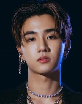 Tanapon Sukumpantanasan as Boang