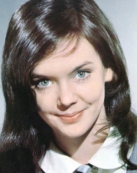 Pamela Franklin as Lori Brandon