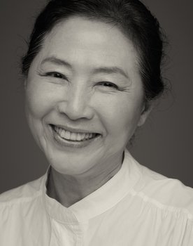 Goh Doo-shim as Jin-ok