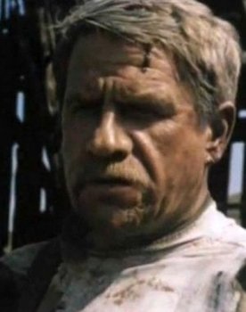 Yuri Stupakov as Котов