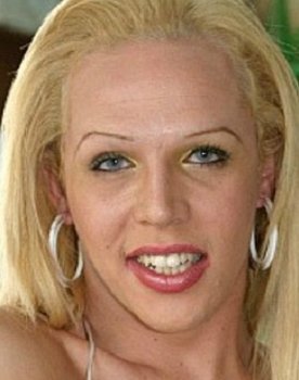 Tranny Shop 5