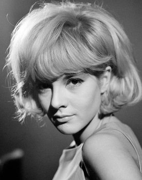 Sylvie Vartan as 
