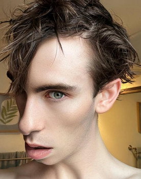 Kyle Christian as TV Voice
