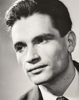 Arvi Hallik