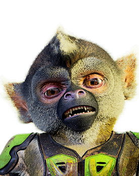 Ray as le saïmiri 3