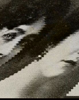 Julia Swayne Gordon as Mrs. Van Buren