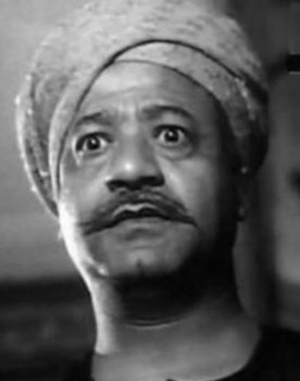 Mohamed Kamel