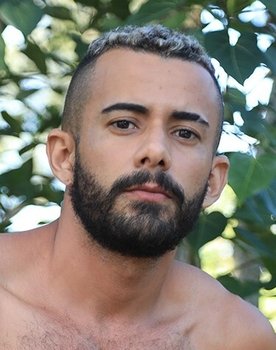 Postcards From Brazil