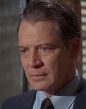 Michael Higgins as Al Cook