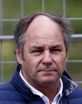 Gerhard Berger as Self