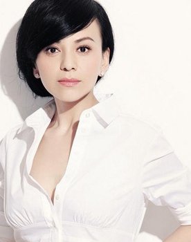 Wang Lin as Madam Zhao