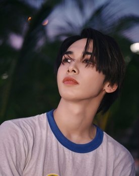 Lee Seung-hyun as as a member of AIMERS