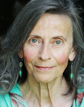 Ania Marson as Dr. Schneider