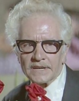 Mehmet Büyükgüngör as 