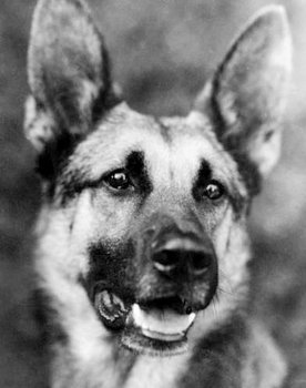 Strongheart