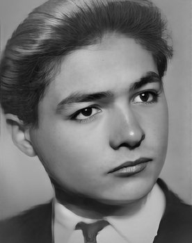 Vasili Davidchuk as Korzinshchikov - correspondent