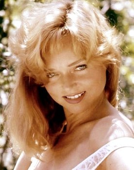 Yvette Vickers as Liz Walker