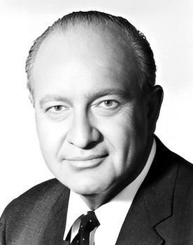 S. John Launer as Airplane Passenger