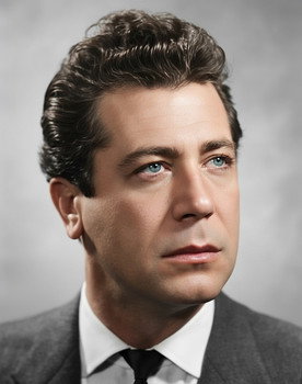 Hüseyin Peyda as Police chief