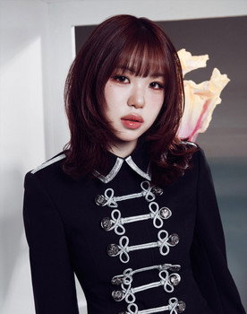 Tsuzumi Ebihara