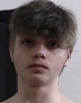 Bogdan Fox
