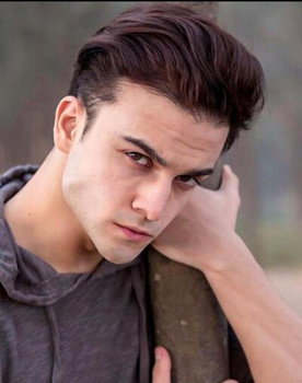 Krishna Kaul as Javed