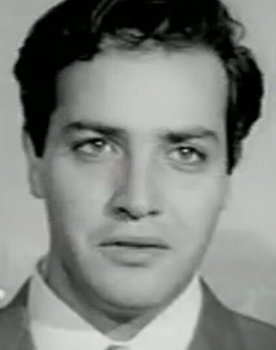 Gürel Ünlüsoy as 