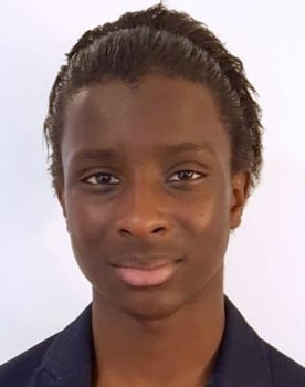 Vincent N'Diaye