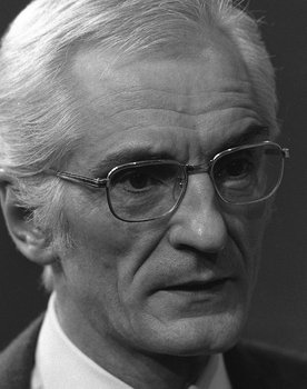 Michel Etcheverry as A gentleman