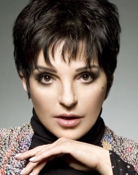 Liza Minnelli as Self (archive footage)