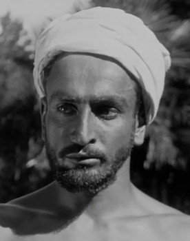 Siko Palavandishvili as 