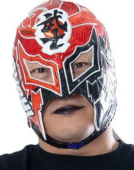 Tetsuya Shimizu as BUSHI