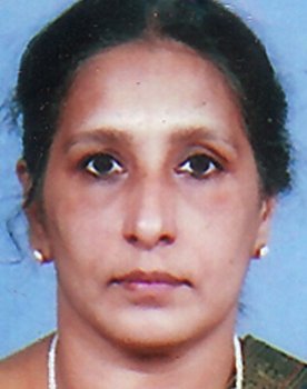 Roslin as Jerry's mother