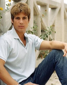 90210 Shark Attack
