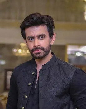 Sajjad Pal as Harris Feroze, Mishal's older brother and Shiza's ex-husband (Dead)