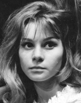 Snežana Nikšić